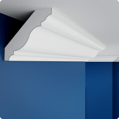 Decken Profilleiste FS1