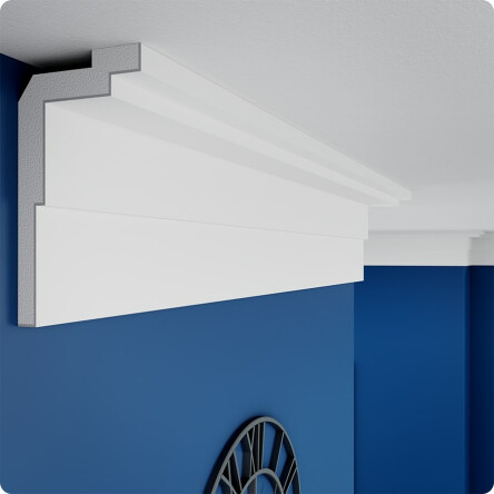 Stuck Styropor FS21 #1